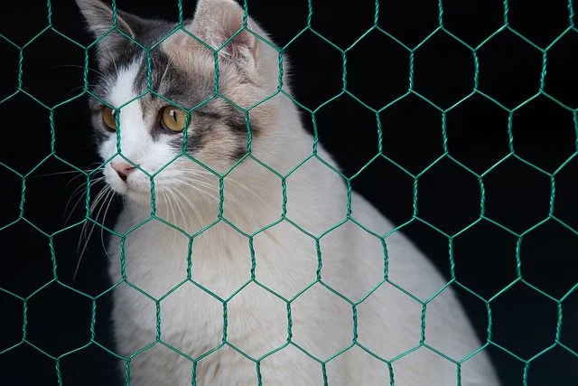 Filet de protection pour chat