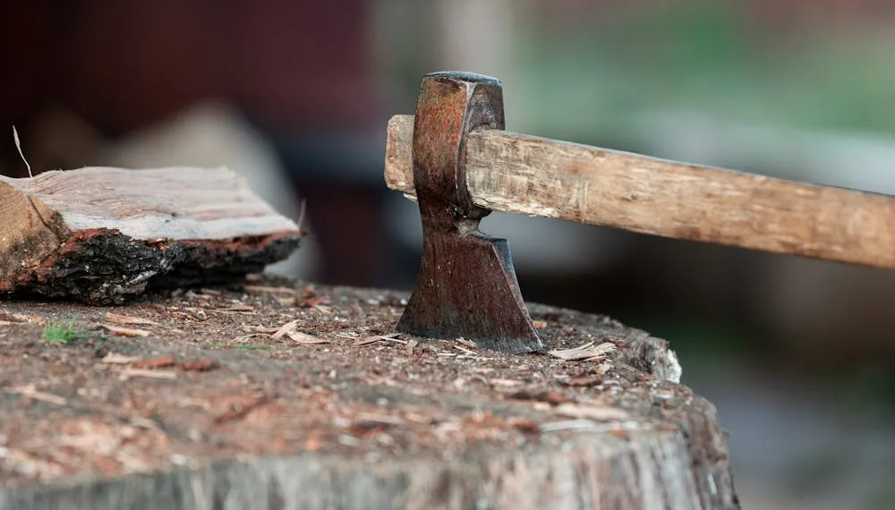 détruire une souche d'arbre