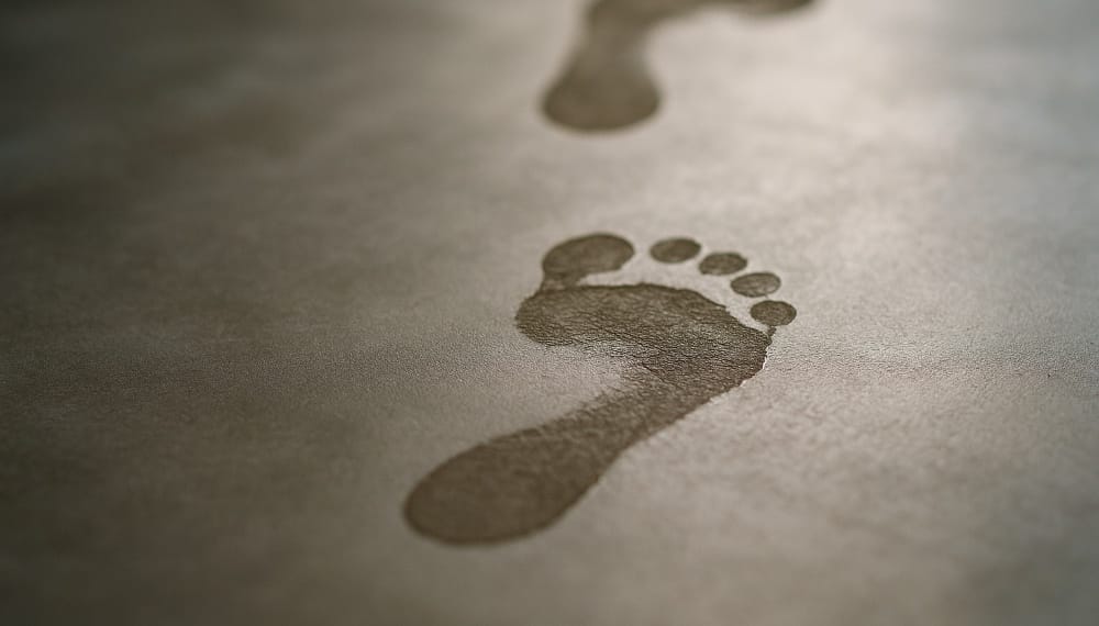 danger des tapis en diatomite