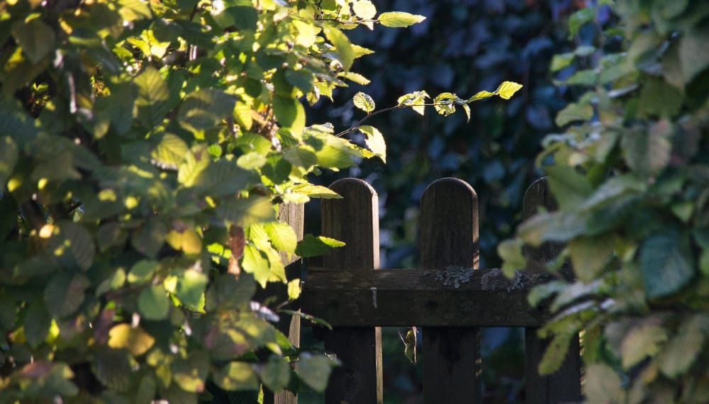 bornage de plus de 30 ans