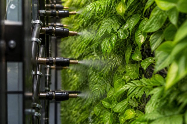 irrigation d'un mur végétal